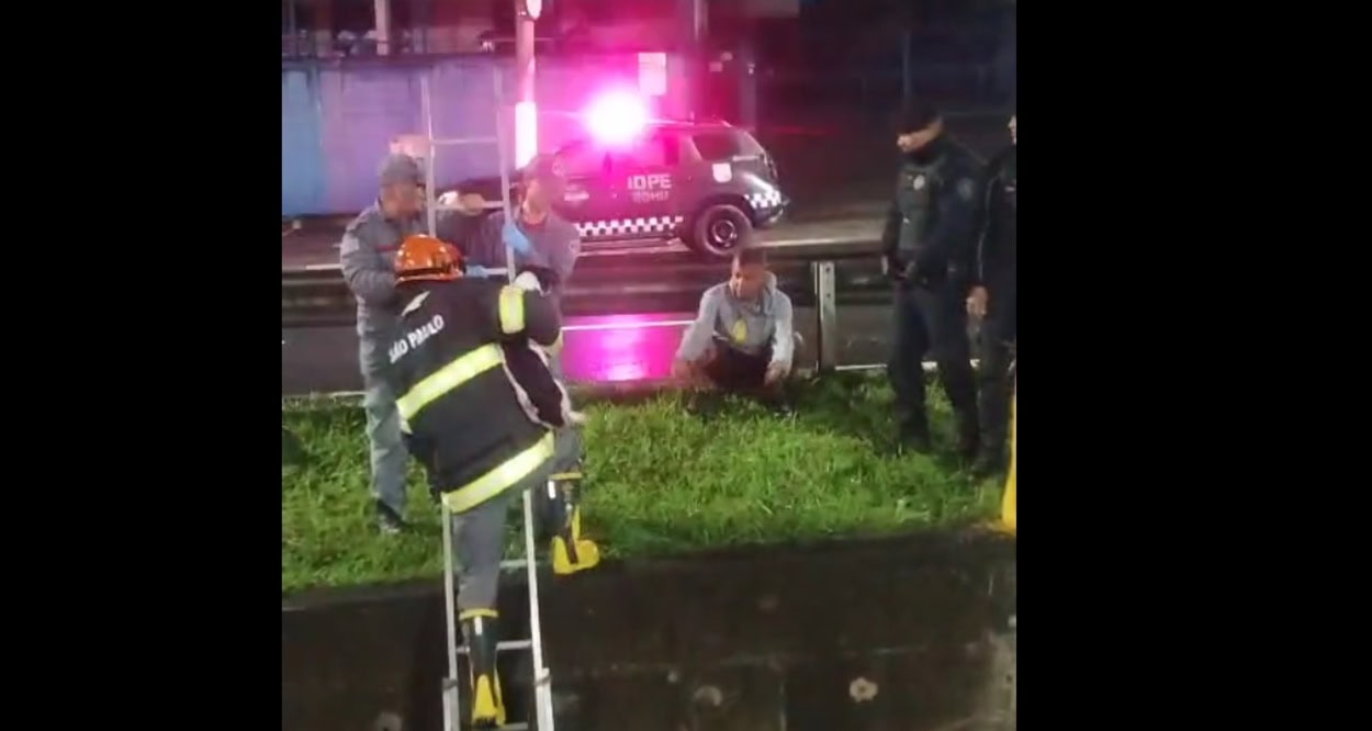 GCM de Diadema resgata cachorrinho que caiu no córrego do Corredor ABC
