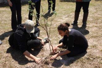 Plantio no Parque do Pedroso marca início do Projeto Águas da Mata em Santo André