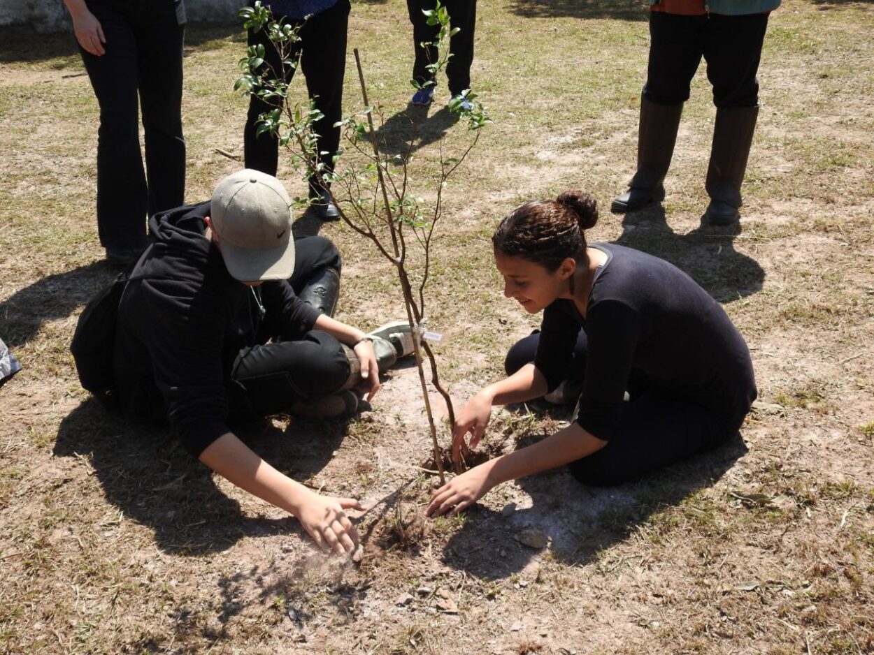 Plantio no Parque do Pedroso marca início do Projeto Águas da Mata em Santo André