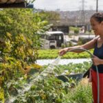 Santo André inicia consulta pública para construir política de agricultura urbana