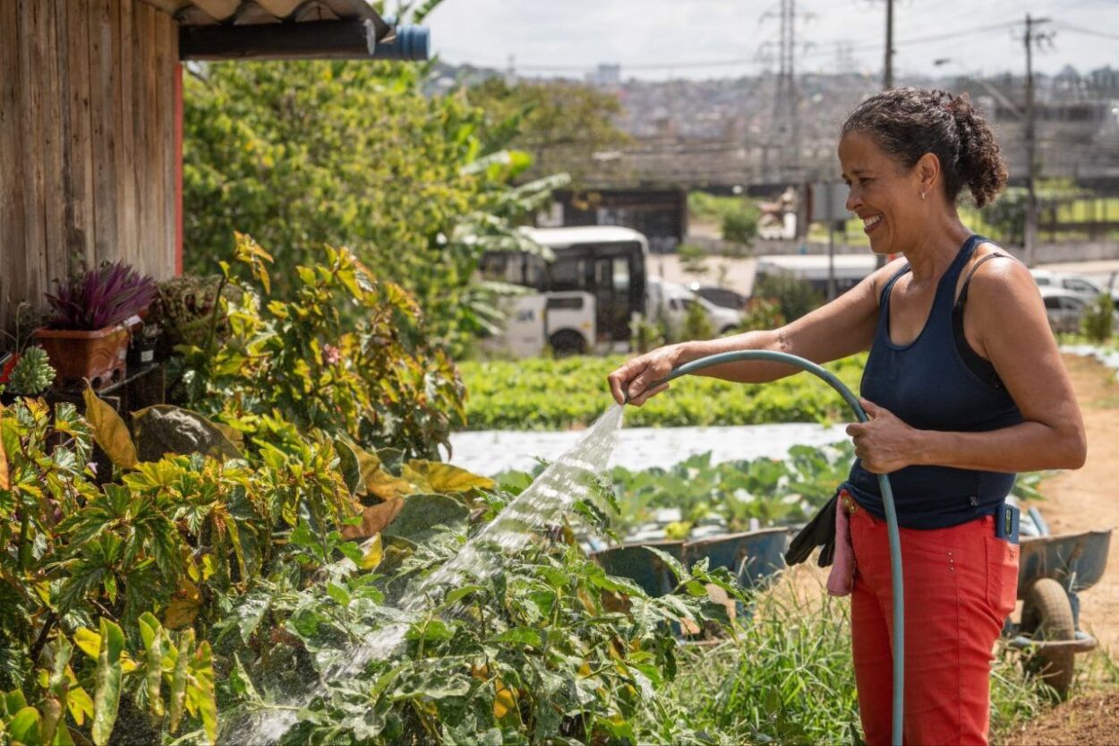 Santo André inicia consulta pública para construir política de agricultura urbana