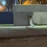 Mistério: Mulher vestida de noiva em frente a cemitério em GO intriga e viraliza