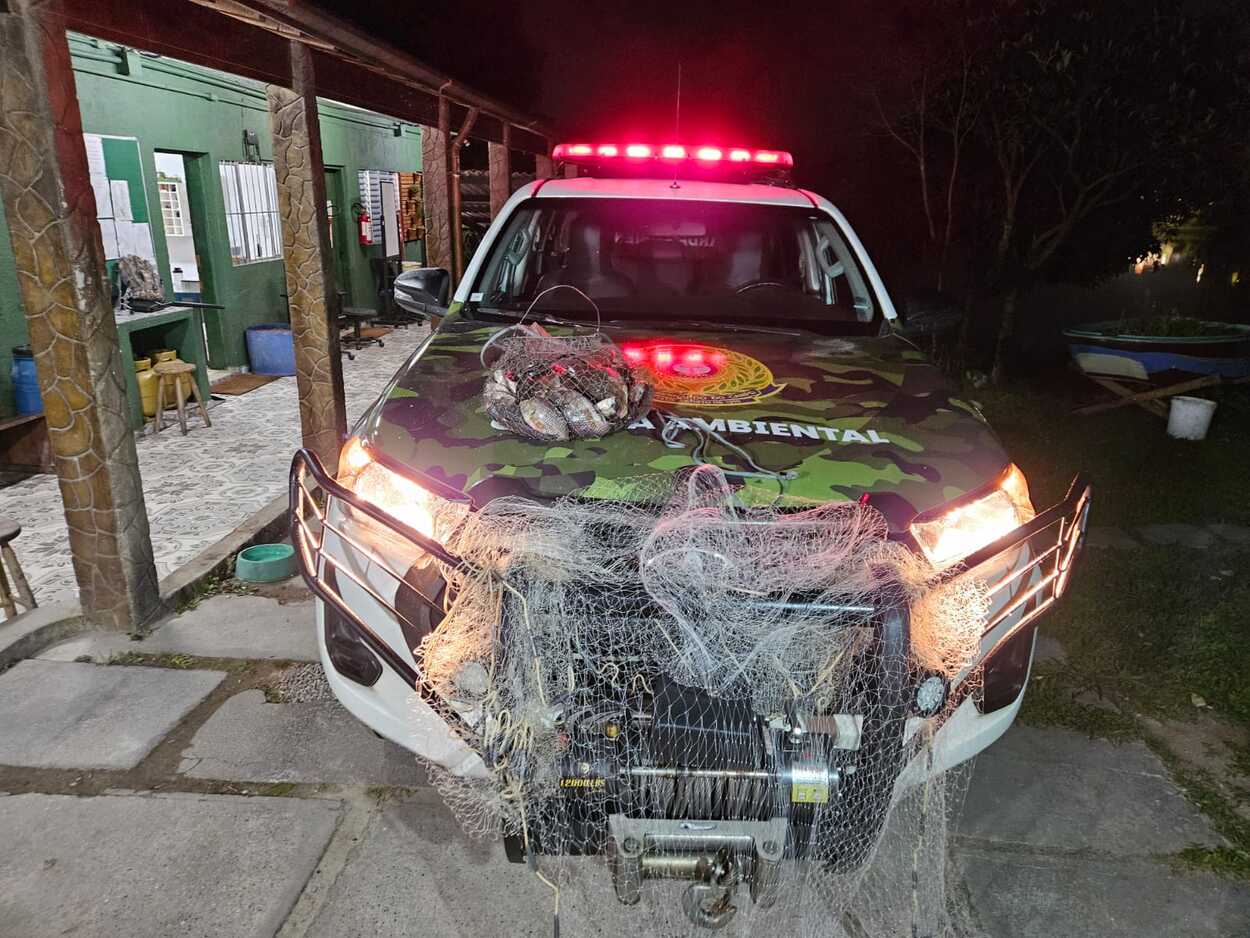 Em Operação, GCM Ambiental de S.Bernardo flagra pesca predatória e resgata 15 kg de peixes