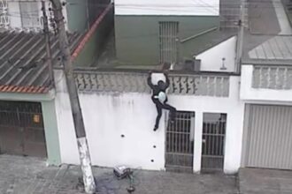  São Bernardo, GCM flagra invasor e prende homem de furto a residência no Baeta Neves