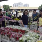 Mercado de Flores da Craisa tem expectativa de aumento nas vendas para o Dia de Finados em Santo André