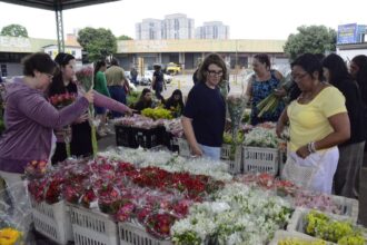 Mercado de Flores da Craisa tem expectativa de aumento nas vendas para o Dia de Finados em Santo André