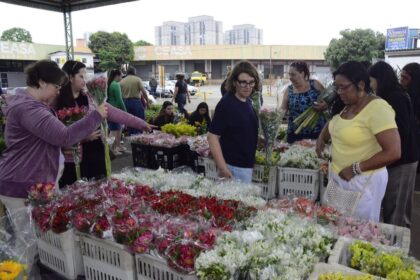 Mercado de Flores da Craisa tem expectativa de aumento nas vendas para o Dia de Finados em Santo André