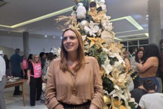 Bazar de Natal do Fundo Social de S.Caetano abre com expectativa de R$ 60 mil em arrecadação