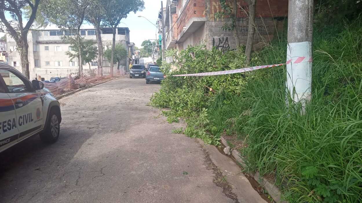 Defesa Civil atendeu 12 chamados no fim de semana, com dois registros de árvores caídas após ventania na cidade