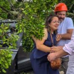 Em São Caetano, ação integrada da GCM e Defesa Civil salva motorista após queda de árvore no carro