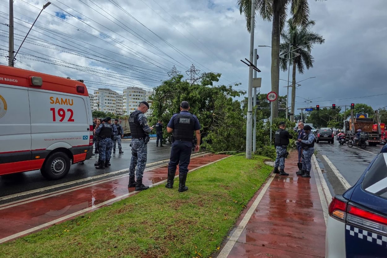 A Defesa Civil, com o apoio das demais equipes, agiu com precisão no corte da árvore após a desenergização dos fios, tranquilizando a vítima durante todo o processo