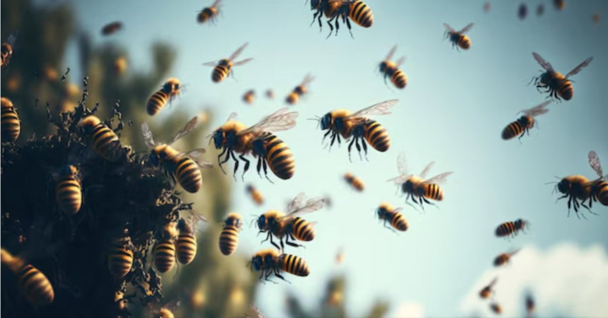 Ataque de abelhas em Diadema: Sete adolescentes ficam feridos e são resgatados