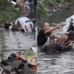 Acidente na Imigrantes deixa três mulheres sem vida