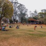 Aula aberta de samba rock é destaque na agenda cultural de São Bernardo no fim de semana