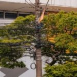 Em ação conjunta com a Enel, São Bernardo promove remoção de fios na Rua Jurubatuba