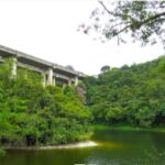 Jovem morre afogado na Represa Billings em São Bernardo