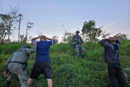 Em Operação, GCM Ambiental de S.Bernardo flagra pesca predatória e resgata 15 kg de peixes