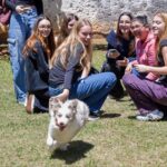 Estudantes de Veterinária da USCS conhecem o trabalho do Canil da GCM de São Caetano