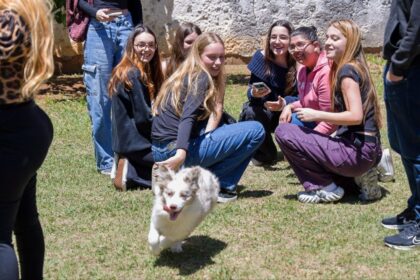 Estudantes de Veterinária da USCS conhecem o trabalho do Canil da GCM de São Caetano