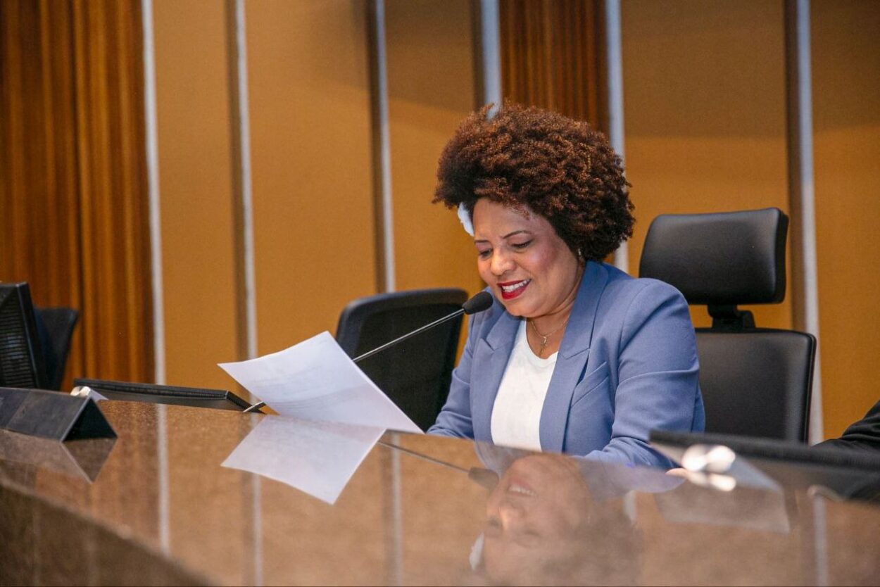 Durante presidência de Ana Nice, Câmara de São Bernardo aprova mais de 150 matérias e amplia pautas sociais