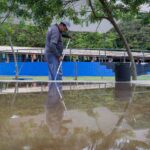 Prefeitura de São Caetano dá início a projeto de manutenção nos parques visando o Verão 2026