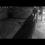 Veterinária luta com assaltante e é ferida em tentativa de latrocínio em Santo André