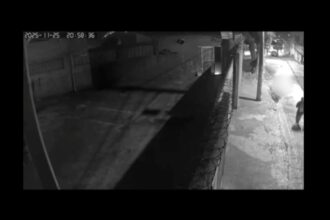 Veterinária luta com assaltante e é ferida em tentativa de latrocínio em Santo André