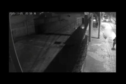 Veterinária luta com assaltante e é ferida em tentativa de latrocínio em Santo André