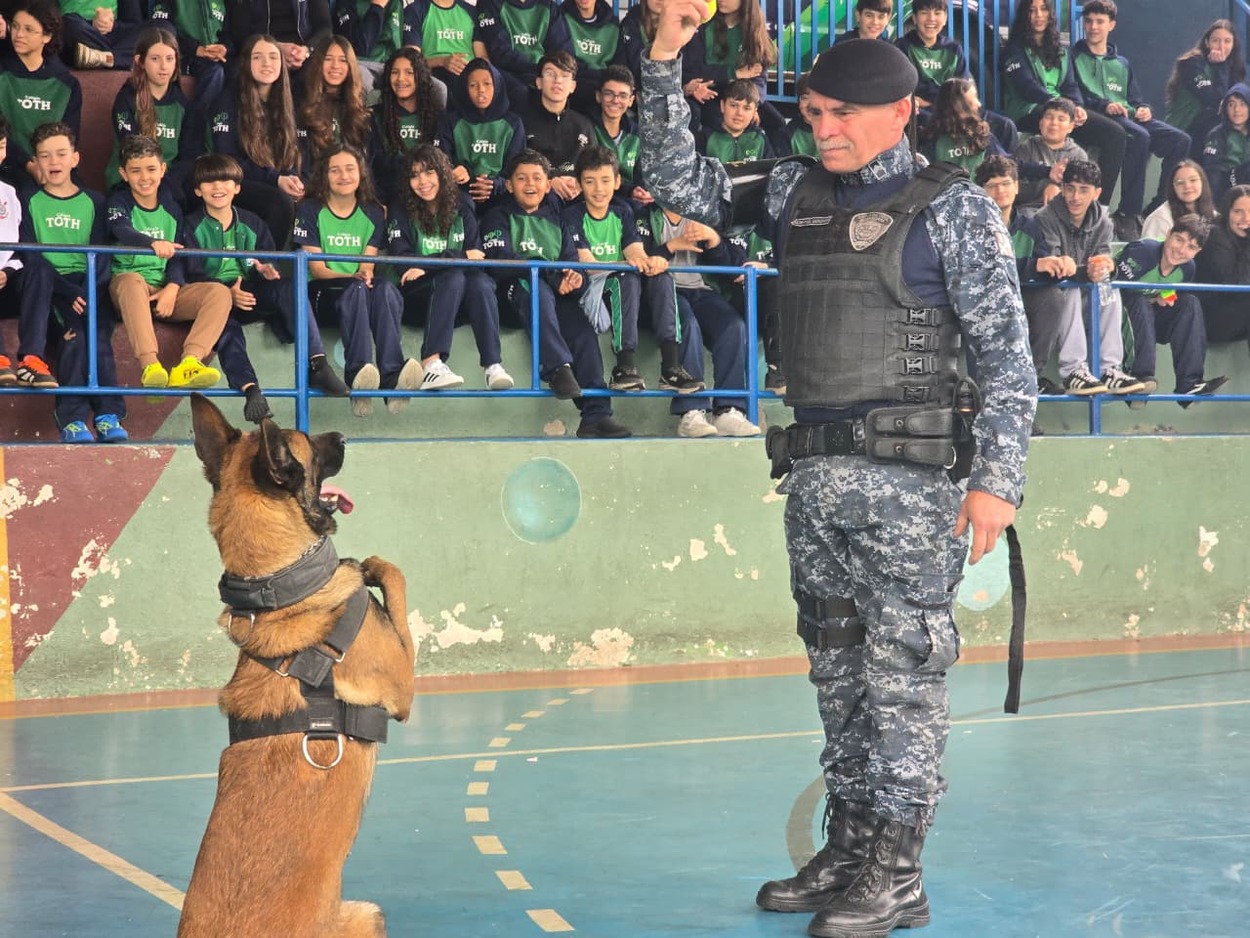 Projeto Cão Amigo da GCM de Ribeirão Pires alcança marca de 10 mil participantes