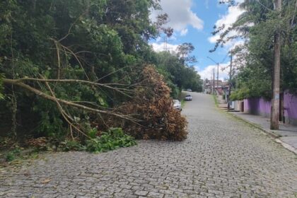 Equipes atuam desde terça-feira (9) na remoção de árvores, liberação de vias e manutenção emergencial em áreas afetadas Foto: Divulgação (PMETRP)