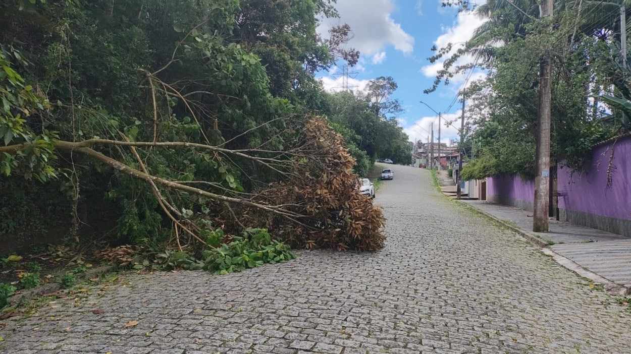  Equipes atuam desde terça-feira (9) na remoção de árvores, liberação de vias e manutenção emergencial em áreas afetadas Foto: Divulgação (PMETRP)