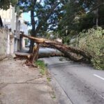 Em Santo André, 60 mil residências ficam sem energia e Gilvan cobra Enel