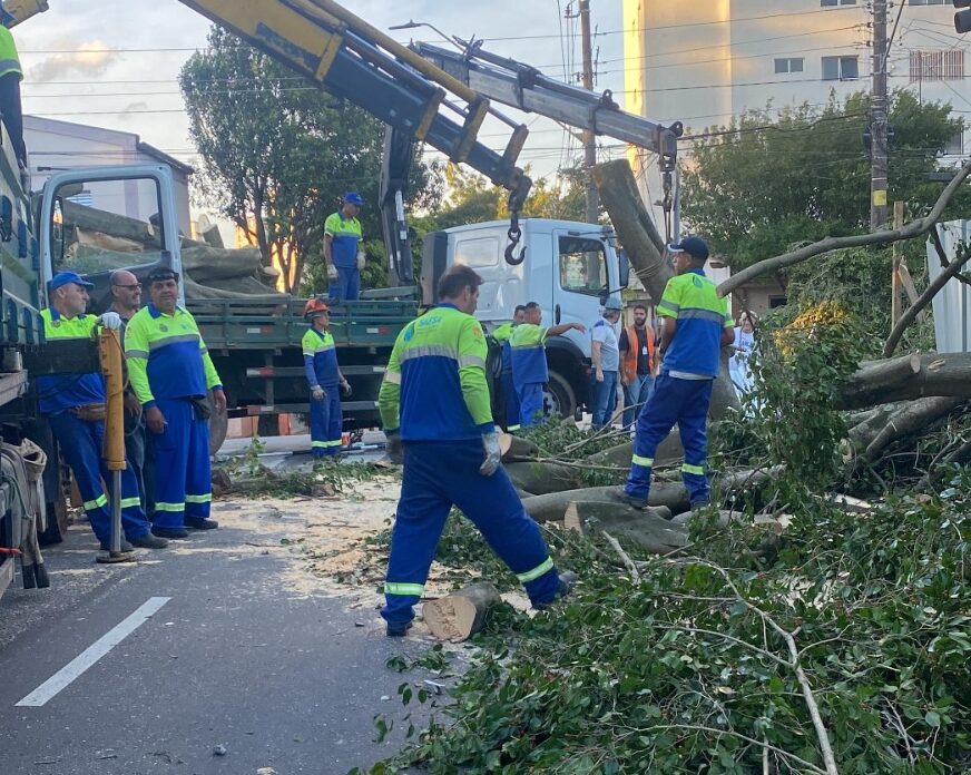 Força-tarefa da Prefeitura de São Caetano garante retomada dos serviços na cidade, mas Enel ainda não restabeleceu a energia de todas as residências 