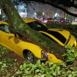Camaro Amarelo bate em árvore próximo ao Parque Central em Santo André