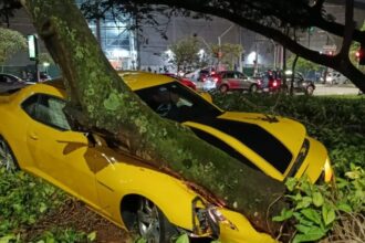 Camaro Amarelo bate em árvore próximo ao Parque Central em Santo André