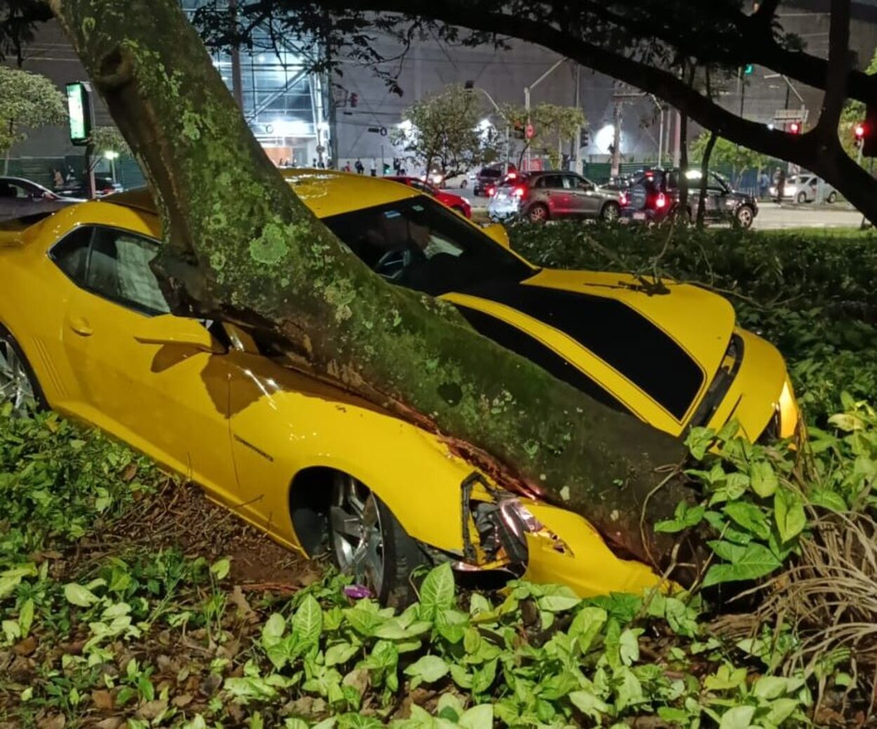 Camaro Amarelo bate em árvore próximo ao Parque Central em Santo André