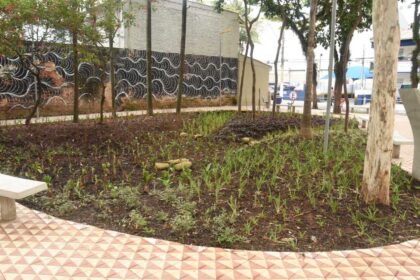 Praça no centro de Santo André ganha canteiro esponja para combater alagamentos