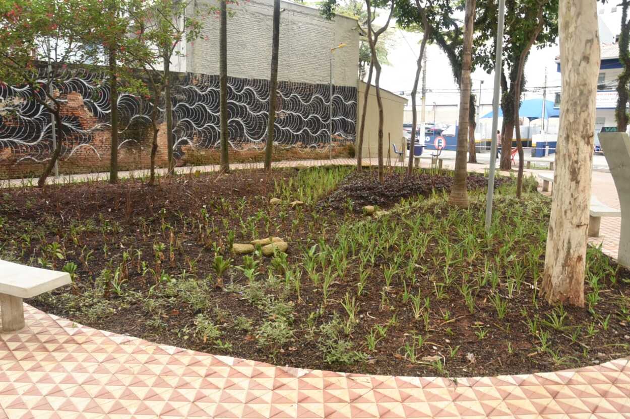 Praça no centro de Santo André ganha canteiro esponja para combater alagamentos