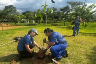 Parque Central passa por ampla revitalização e recebe plantio de 300 árvores