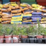 Prefeitura de Ribeirão Pires distribui mais de três toneladas de ração a protetores e animais