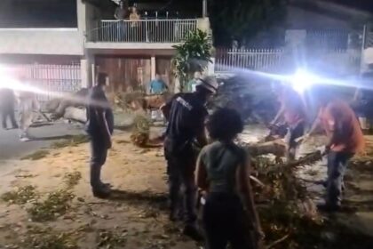 Diadema sofre com falta de energia: 26 mil residências continuam no escuro após fortes ventos