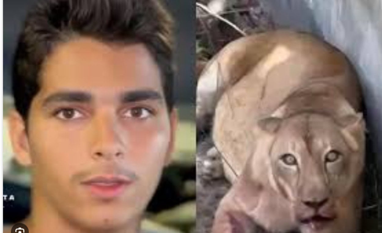 ataque ocorreu no domingo (30/11) quando o jovem Gerson de Melo Machado invadiu o cercado.