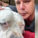 Márcio Garcia desabafa em luta contra o câncer de seu pet: "O Dilema Mais Difícil da Vida"