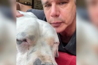 Márcio Garcia desabafa em luta contra o câncer de seu pet: "O Dilema Mais Difícil da Vida"