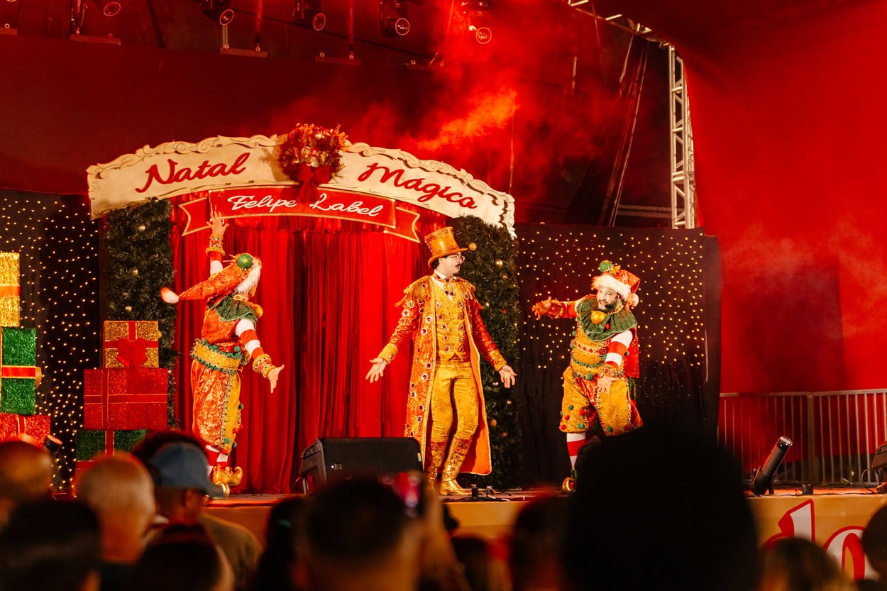 Natal Iluminado de São Bernardo arrecadou 3,5 toneladas de alimentos