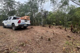 Prefeitura combate invasão de área ambiental no Jardim Santo André