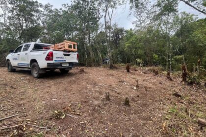 Prefeitura combate invasão de área ambiental no Jardim Santo André