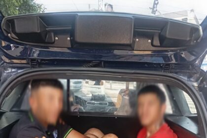 GCMs de Diadema captura procurado pela Justiça  no Parque Real