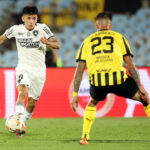 Almada - Botafogo - Palmeiras