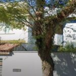 Polícia Civil cumpre mandado de busca e apreensão em casa de influenciadores em Santo André